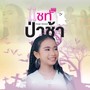 แชทป่าช้า - Single