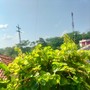 Pasangan