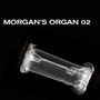 Morgan's Organ 02