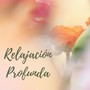 Relajación Profunda: Música de Spa para Dormir y Meditar