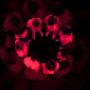 RED RING (feat D-Sol Shamus James j Veebs & DiMasi)