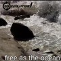 Free as the Ocean