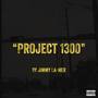 Project 1300