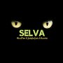 Selva (Seto Dacosta, Acertijo, Matabeat) [Explicit]