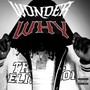 Wonder Why (Explicit)