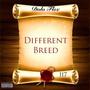 Different Breed (Explicit)