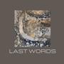 Last Words (Acoustic Version)