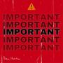 Important (Explicit)