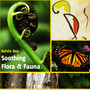 Soothing Flora & Fauna