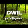 DWIL (feat. NXRI) [Explicit]