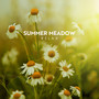 Summer Meadow Relax: Amazing Nature Sounds, Bird Songs, Brook Sounds for Relaxation