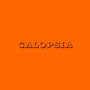 Calopsia