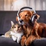 Pet Harmony: Playful Tunes for Companions