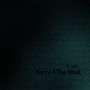 Sorry 4 The Wait (Explicit)