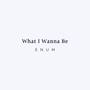 What I Wanna Be (Explicit)