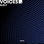 Voices EP