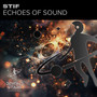 Echoes of Sound