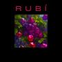 RUBÍ (Beat)