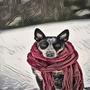 Cold Romance