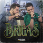 Brigas