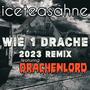 Wie 1 Drache (feat. Drachenlord) [(Drachenlord RMX)] [Explicit]