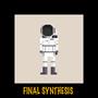 Final Synthesis