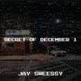 Secret of December 1 (Explicit)
