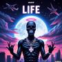 LIFE (Explicit)