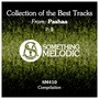 Collection of the Best Tracks From: Pashaa, Pt. 5