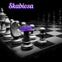Skabiosa