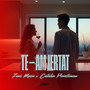 Te-am iertat (Remix)