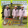 Puros Corridos Pa Compas Pesados