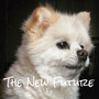 The New Future