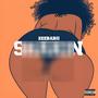 Shakin (Explicit)