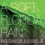 A Soft Florida Rain - Ng Sings Juusela