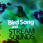 Bird Song and Stream Sounds