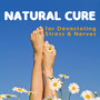 Natural Cure for Devastating Stress & Nerves