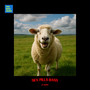 Sex Pills Bass (Explicit)