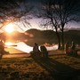 Music for Relaxation and Comfort
