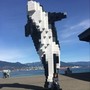 Piano Solos for Orcas