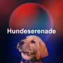 Hundeserenade