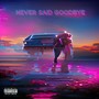 Never Said Goodbye (Explicit)