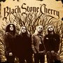 Black Stone Cherry