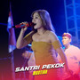 Santri Pekok