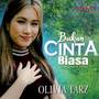 Bukan Cinta Biasa