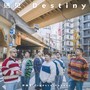 遇见｜Destiny