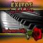 Exitos Inolvidables, Instrumentales