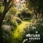 Nature's Embrace in Sound