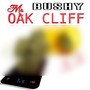 Mr. Oak Cliff 3.5 (Explicit)