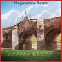 Regalando flores (feat. Cachora)